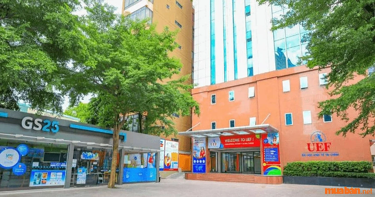 Thủ tục nhận chứng chỉ VSTEP tại Trường Đại học Kinh tế - Tài chính TP.HCM (UEF)