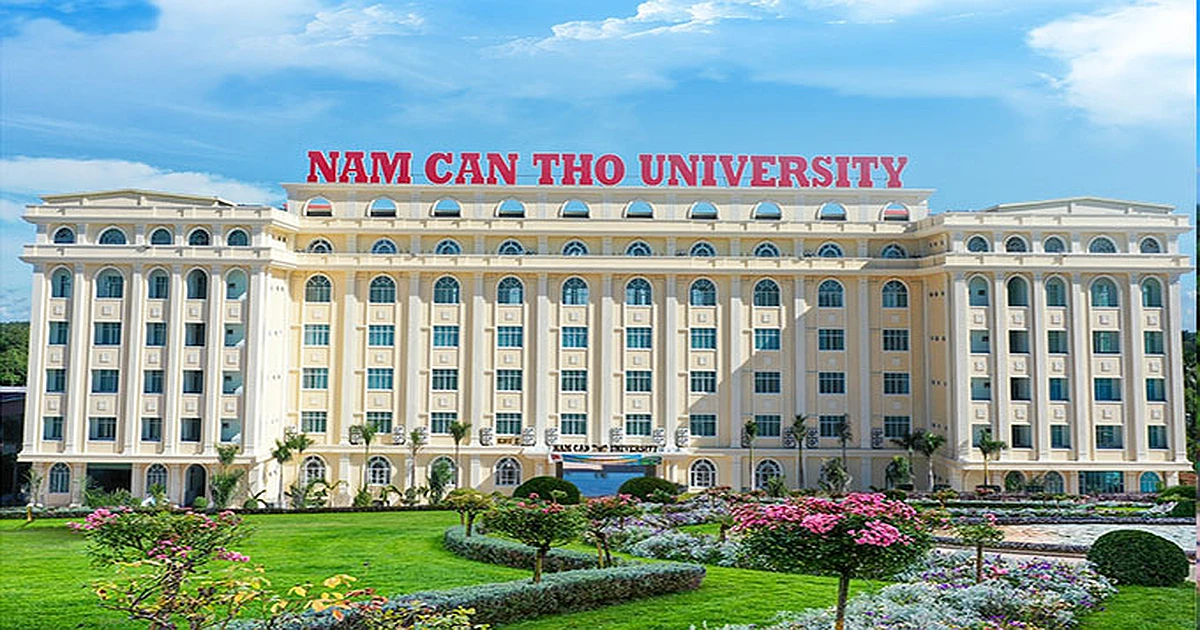 Hướng dẫn tra cứu kết quả thi VSTEP tại Trường Đại học Nam Cần Thơ (DNC)
