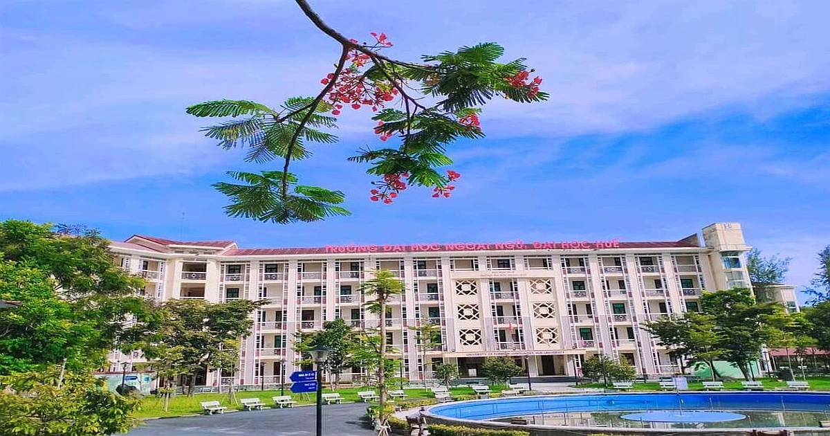 Khóa học ôn thi VSTEP tại Trường Đại học Ngoại ngữ - Đại học Huế (HUCFL)