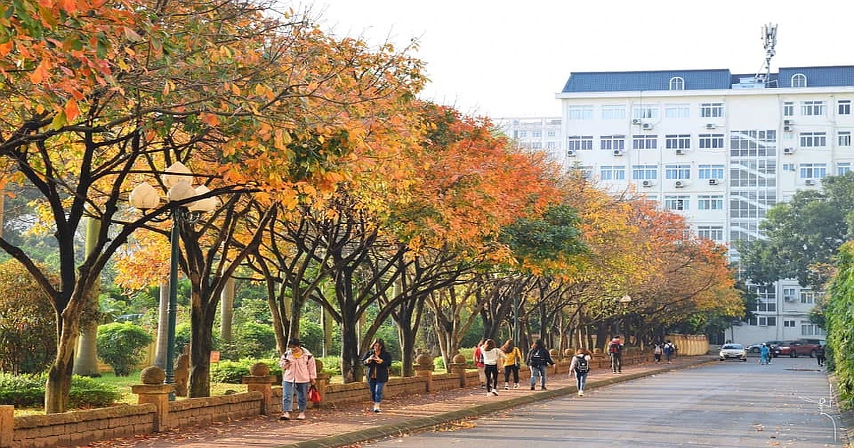 Khóa học ôn thi VSTEP tại Trường Đại học Sư phạm Hà Nội (HNUE)