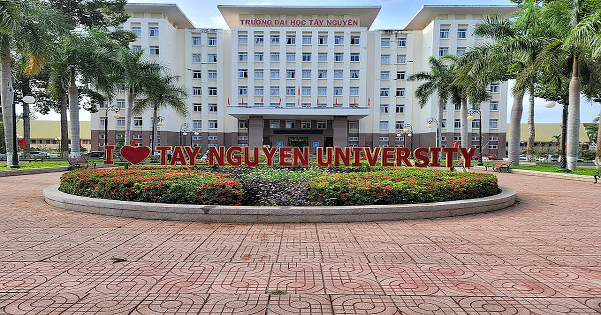 Giới thiệu kỳ thi VSTEP tại Trường Đại học Tây Nguyên (TTN)