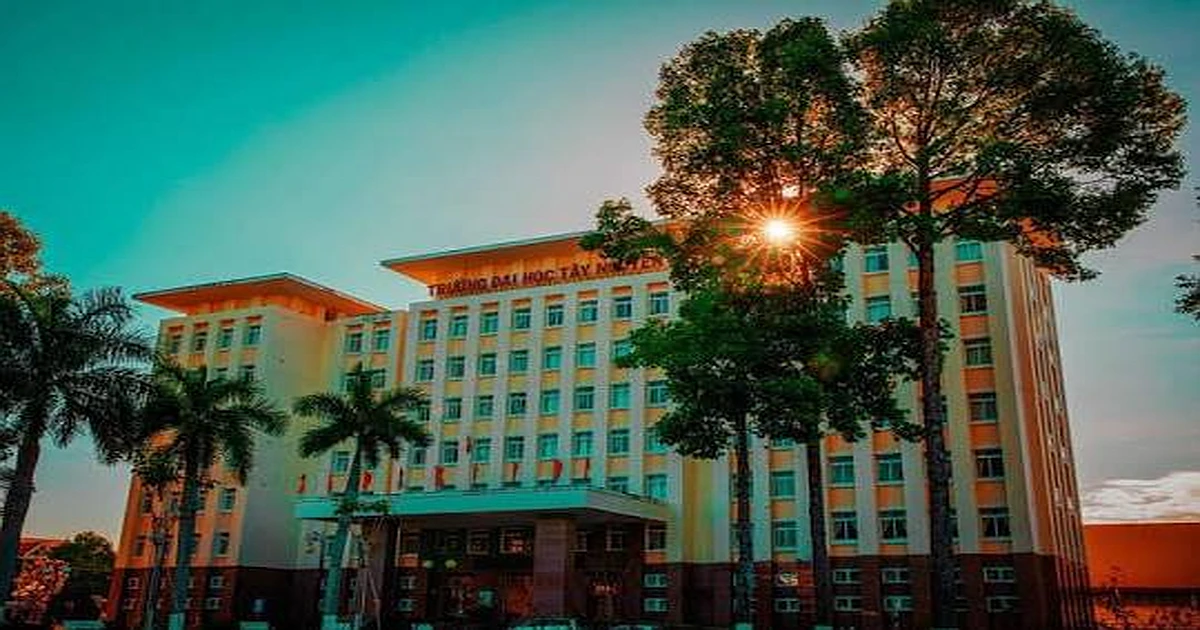 Khóa học ôn thi VSTEP tại Trường Đại học Tây Nguyên (TTN)