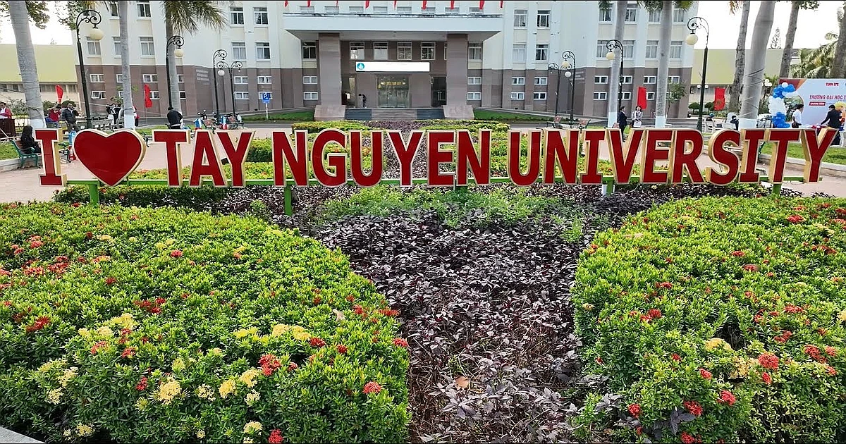 Lệ phí thi VSTEP mới nhất tại Trường Đại học Tây Nguyên (TTN)