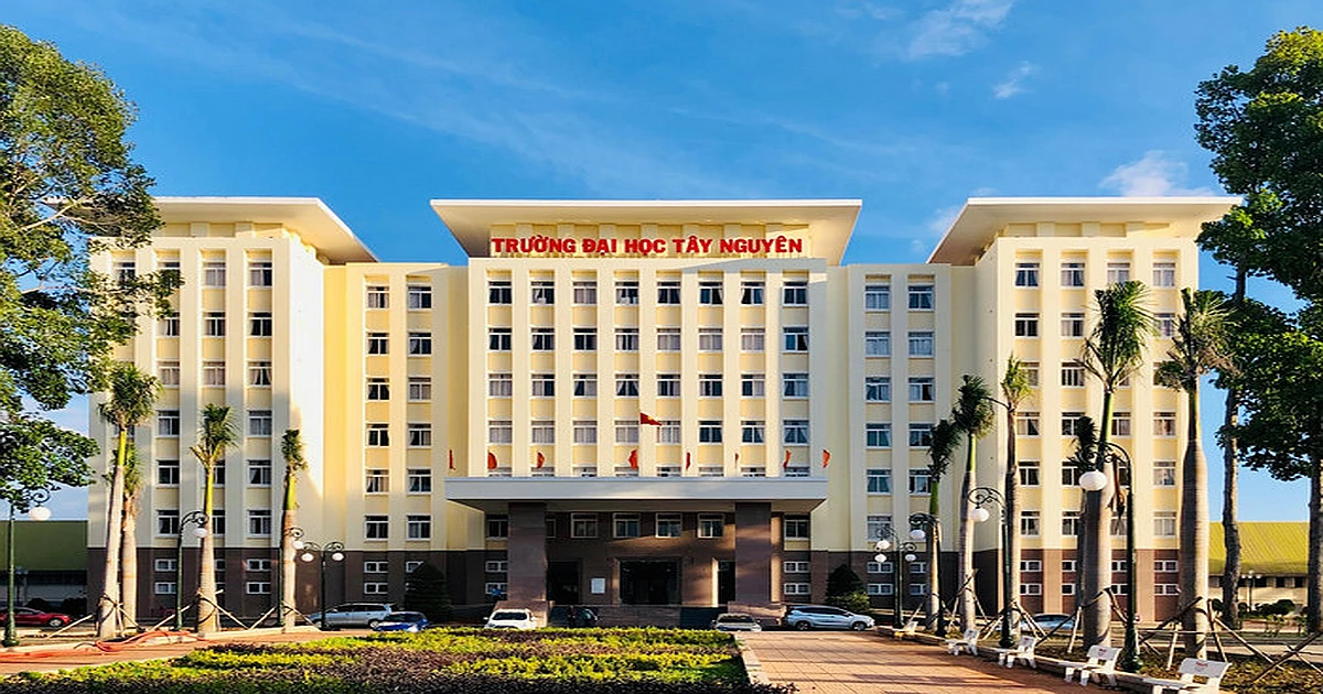 Hướng dẫn tra cứu kết quả thi VSTEP tại Trường Đại học Tây Nguyên (TTN)