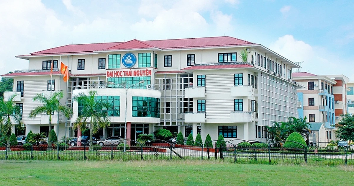 Giới thiệu kỳ thi VSTEP tại Đại học Thái Nguyên (TNU)