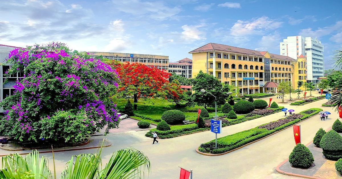 Khóa học ôn thi VSTEP tại Đại học Thái Nguyên (TNU)