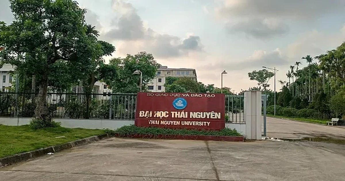 Kinh nghiệm thi VSTEP từ A-Z tại Đại học Thái Nguyên (TNU)