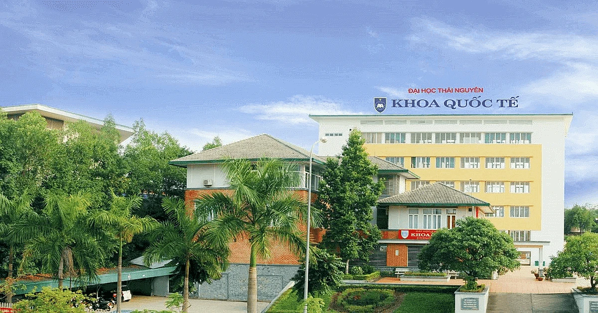 Hướng dẫn tra cứu kết quả thi VSTEP tại Đại học Thái Nguyên (TNU)