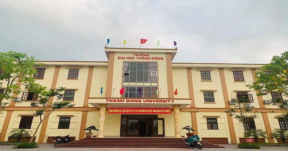 Khóa học ôn thi VSTEP tại Trường Đại học Thành Đông (TDU)