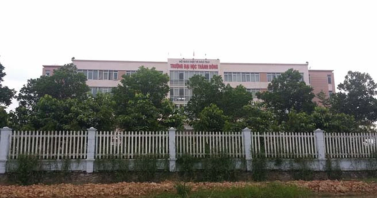 Kinh nghiệm thi VSTEP từ A-Z tại Trường Đại học Thành Đông (TDU)